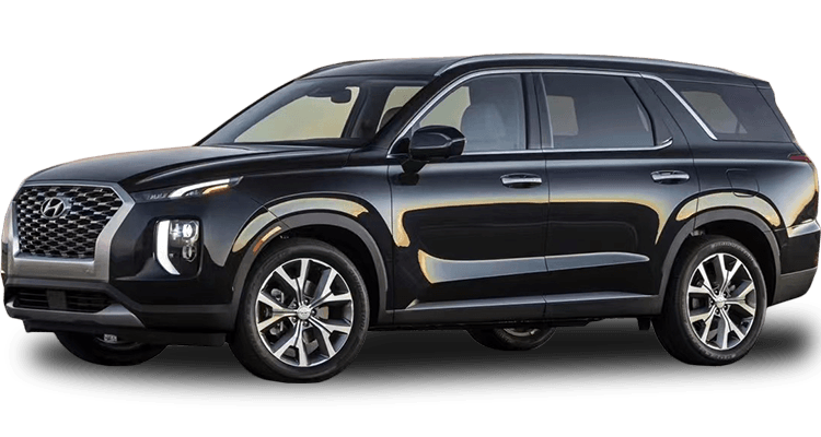 PALISADE HYUNDAI 20-25