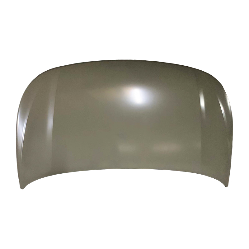 HYUNDAI CUSTO Cochall