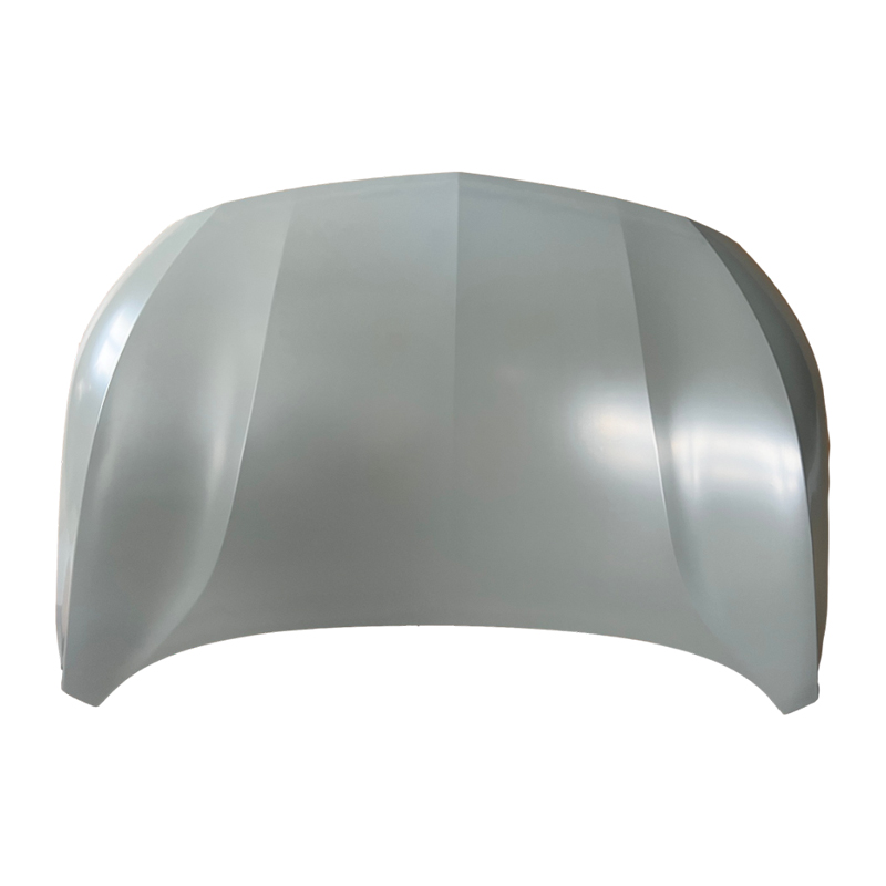 DO CHEVROLET MONZA 2018 Hood