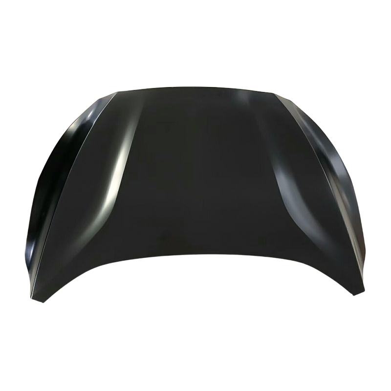 2019 Ford Focus Innill Hood