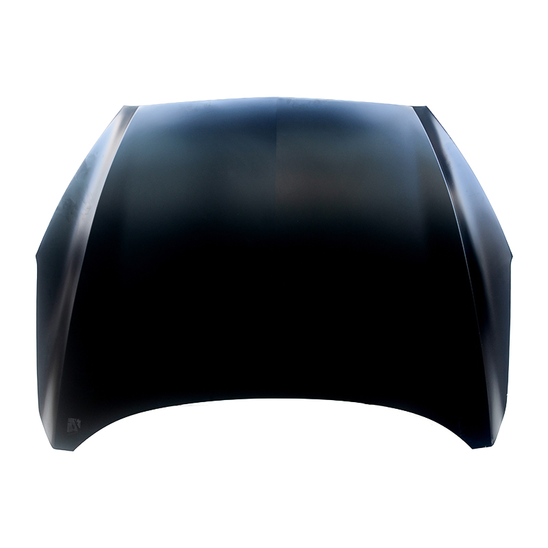 Ford Escort 2015-2017 cochall