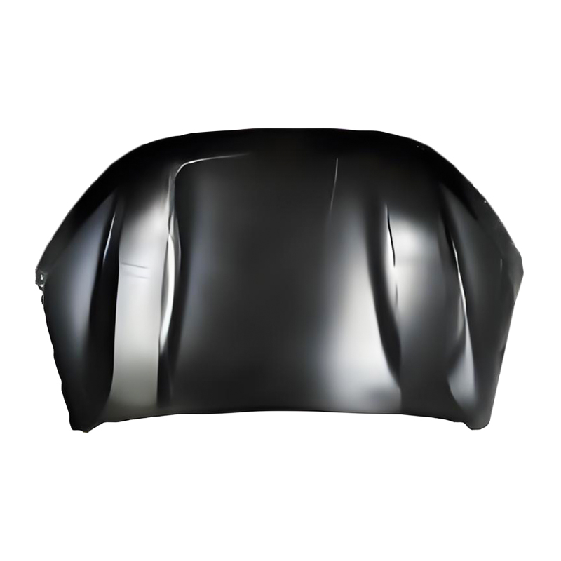 SANDERO 21 cochall
