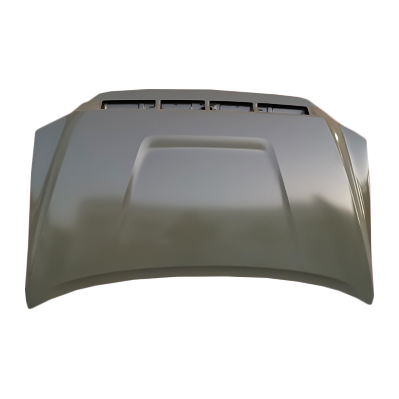 TOYOTA TUNDRA 14 Cochall
