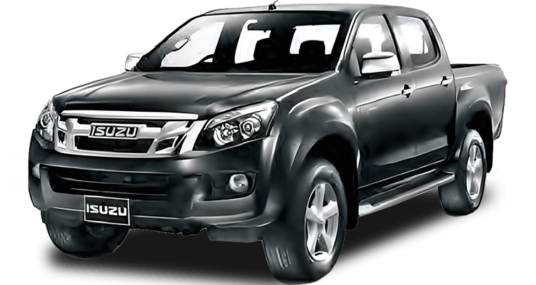 D- MAX 12